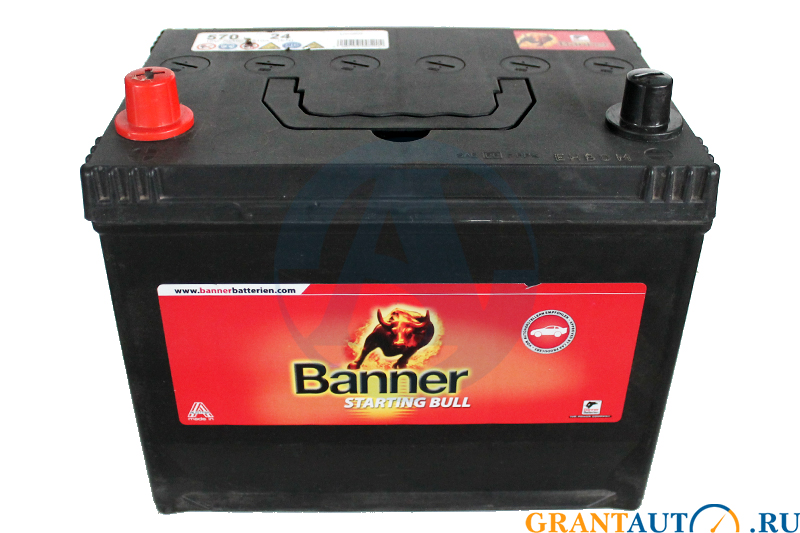 Аккумуляторная батарея BANNER Starting Bull 24 6СТ70 Австрия фотография №1