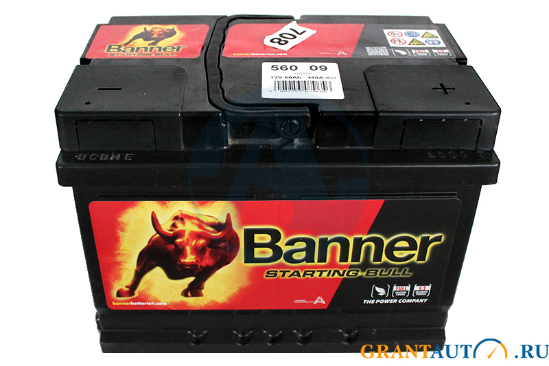 Аккумуляторная батарея BANNER Starting Bull 09 6СТ60 низкая обратная фотография №1