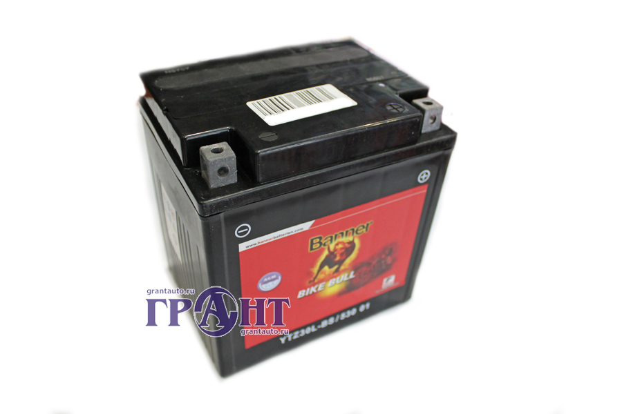 Аккумуляторная батарея BANNER Bike Bull YTZ30L-BS 6СТ30 фотография №2